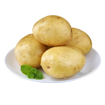 山东新鲜土豆马铃薯 现挖洋芋黄心产地直发 新鲜蔬菜 土豆中大果5斤装