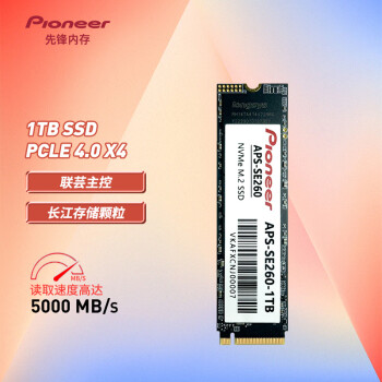 先锋(Pioneer) 1TB SSD固态硬盘 M.2接口（NVME协议）SE260（Pcie4.0x4）
