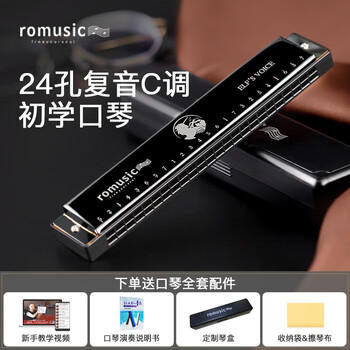 Romusic 口琴 24孔复音C调初学口琴（黑色）学生教学推荐母婴玩具类商品-全利兔-实时优惠快报