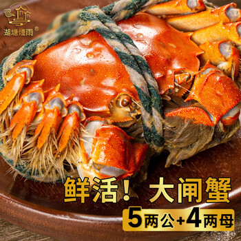 湖塘煙雨 阳澄湖大闸蟹礼盒 公5两 母4两 4对8只食品类商品-全利兔-实时优惠快报