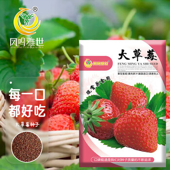 京东PLUS：凤鸣雅世 食用奶油大草莓种籽四季种植室内阳台盆栽水果大草莓种子500粒其它类商品-全利兔-实时优惠快报