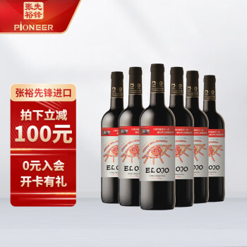 张裕先锋 世界之眼干红葡萄酒 乌迪尔产区 750ml*6 整箱装  进口红酒