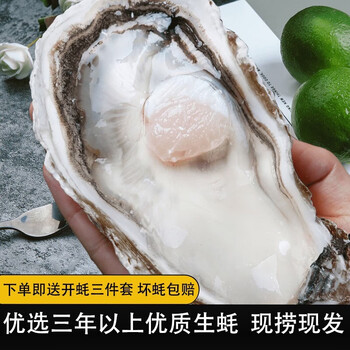 帆货 乳山生蚝鲜活特大牡蛎XXXL 5斤装 大蚝12个左右食品类商品-全利兔-实时优惠快报