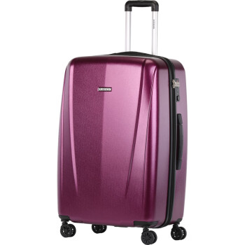 瑞世（SUISSEWIN） 万向轮拉杆箱 时尚休闲旅行箱 托运箱SN6700 24英寸 紫色