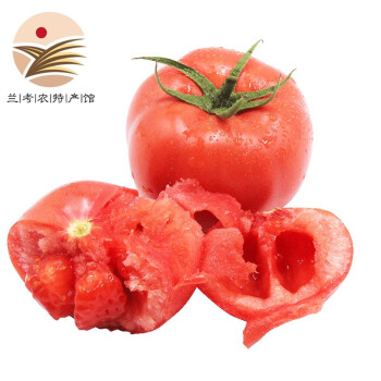 兰禾湾生吃西红柿兰考特产自然成熟新鲜现摘沙瓤番茄时令蔬菜2.5kg