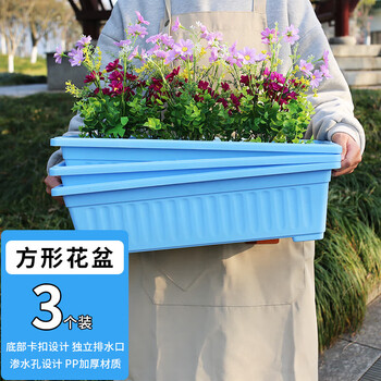 概率券: 悠梵萌 长方形种菜盆 特大号 3个装其它类商品-全利兔-实时优惠快报