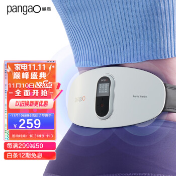 攀高（PANGAO）腰部按摩器 PG-2645 腰椎按摩仪 热敷护腰带 充电版【生日礼物】