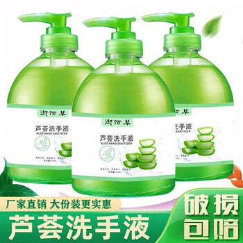 概率券：芦荟洗手液500ML瓶（500ml）*2医疗保健类商品-全利兔-实时优惠快报