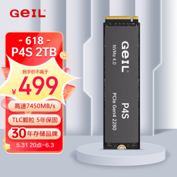 GeIL金邦 2TB SSD固态硬盘 M.2接口(PCIe 4.0 x4)NVMe SSD游戏高性能版高速7450MB/S P4S系列