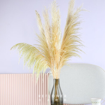 花点时间 秋日限定-1m高芦苇花全利兔-实时优惠快报