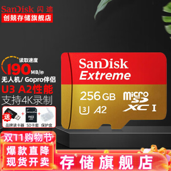 SanDisk TF˻ڴ濨 micro SD switch ֻ濨class10 256G(A2 190M/s)п׶