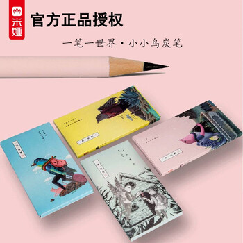 软性12支装米娅速写软碳自由初学者画笔画具画材