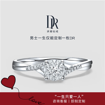 【七夕情人节礼物】DR求婚钻戒 钻石戒指女群镶扭臂显钻订婚结婚 BELIEVE系列 光芒 8分H色VS2