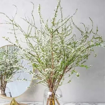 雪柳干枝水插花 20-30cm 10支其它类商品-全利兔-实时优惠快报