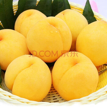 OIMG 山东蒙阴金皇后黄桃 脆甜可口 蒙阴黄桃5斤装 7-9个食品类商品-全利兔-实时优惠快报
