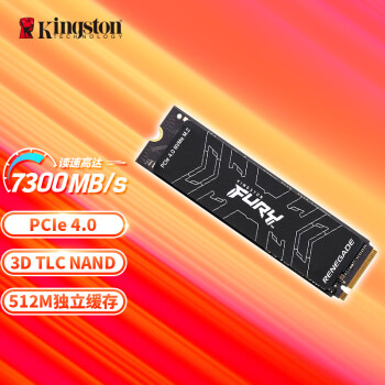 ʿ(Kingston) FURY 500GB SSD̬Ӳ M.2ӿ(NVMe PCIe 4.04) Renegade 7300MB/s  AI 