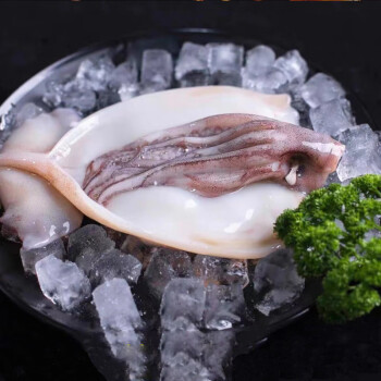 爱鲜君三去大鱿鱼(4-6只）净重5斤 铁板鱿鱼 烧烤食材 海鲜水产 生鲜