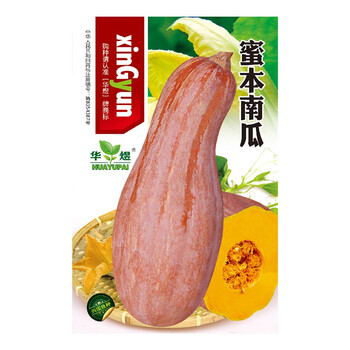 广冬千特华煜 四季播种 农家蜜本南瓜种子1包全利兔-实时优惠快报