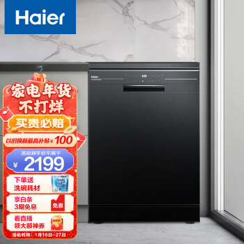 海尔（Haier）洗碗机13套独立式80℃双微蒸汽智能油污感应烘干家用除菌消毒洗碗机 EW139166BK