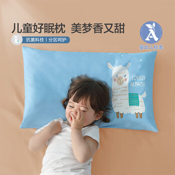 10日20点：水星宝贝 儿童好眠枕 配枕套35*58*4.5cm家具家装类商品-全利兔-实时优惠快报