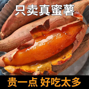 天乐优选 山东 烟薯25号 4.5-5斤中果 单果3-8两食品类商品-全利兔-实时优惠快报