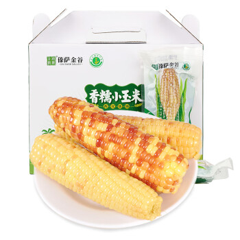 云南香糯小玉米 2kg 箱装 10-14根  单根110-200g 真空包装