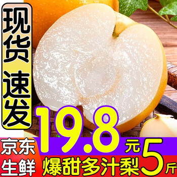 淳果一木 丰水梨 4.5-5斤整箱 梨子秋月黄金 新鲜水果 生鲜 水果食品类商品-全利兔-实时优惠快报