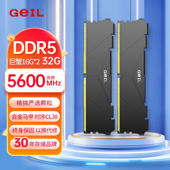 GEILɹ20DDR5ڴз̨ʽԵ羺Ϸڴ 32G16G*2װ 5600 ɫ