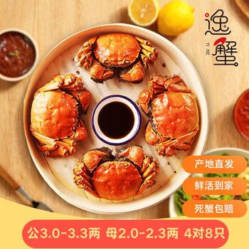 逸蟹 大闸蟹鲜活螃蟹 公3.0-3.3两 母2.0-2.3两 4对8只食品类商品-全利兔-实时优惠快报