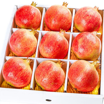 正宗云南蒙自甜石榴 净重5斤大大果(300-400g)食品类商品-全利兔-实时优惠快报