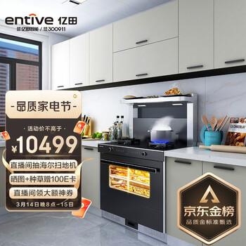 亿田（entive）D2ZK 集成灶蒸烤一体侧吸抽油烟机烟灶套装燃气灶钢化玻璃台面 天然气