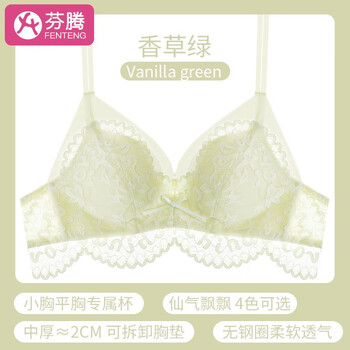 FENTENG 芬腾 90GV9 女士无钢圈文胸服饰鞋包类商品-全利兔-实时优惠快报