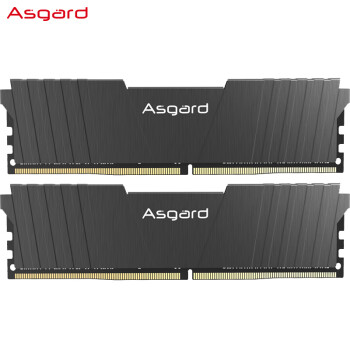 Asgard 阿斯加特 洛极T2 16GB（8GBx2）DDR4 3200 台式机内存条