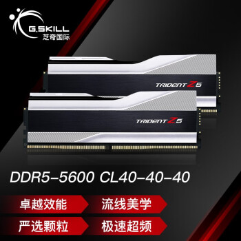 芝奇（G.SKILL）32GB(16Gx2)套装 DDR5 5600频率 台式机内存条-炫锋戟(科技银)