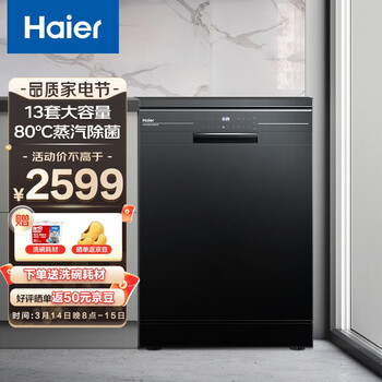 海尔（Haier）洗碗机13套独立式80℃双微蒸汽智能油污感应烘干家用除菌消毒洗碗机 EW139166BK