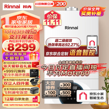 Rinnai 林内 燃气壁挂炉 天然气家电类商品-全利兔-实时优惠快报