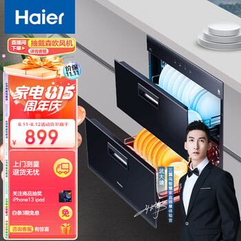 海尔（Haier）消毒柜 家用嵌入式 消毒碗柜 碗筷消毒 二星级 双层大容量 智能控温 净烘合一 母婴童锁12LCS