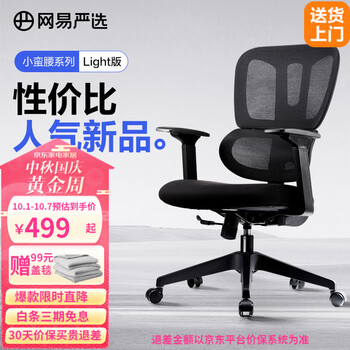 YANXUAN 网易严选 小蛮腰双背人体工学椅转椅 小蛮腰S5基础款家具家装类商品-全利兔-实时优惠快报