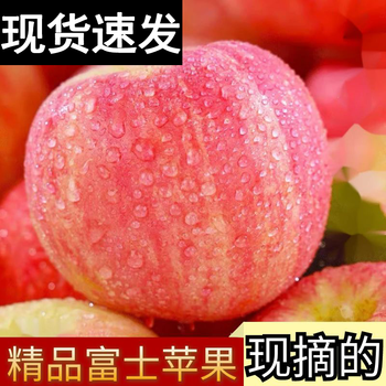 京东百亿补贴:果小姐 果鲜生红富士苹果 优选中大果 75mm+ 5斤装食品类商品-全利兔-实时优惠快报