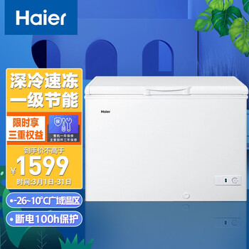 海尔（Haier）318升节能家用商用冰柜 冷藏冷冻转换冰箱大冷柜BC/BD-318HD