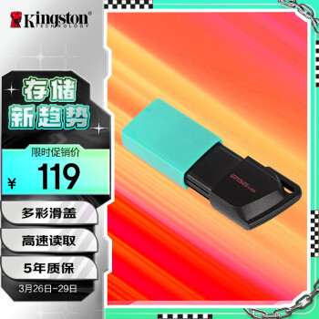 ʿ٣Kingston256GB USB3.2 Gen 1 U DTXM U  ʱ ѧϰ칫Ͷͨ
