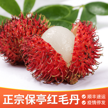 海南红毛丹保亭正宗7号果水果毛荔枝应季热带水果送人礼盒装礼盒9斤装