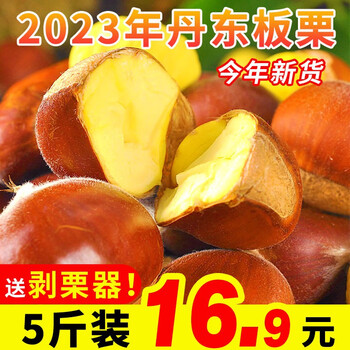 言片光 丹东新鲜板栗生 5斤装 精选中果（送剥栗爪）全利兔-实时优惠快报