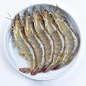 鲜闻果 青岛大虾 4斤装14-18mm食品类商品-全利兔-实时优惠快报