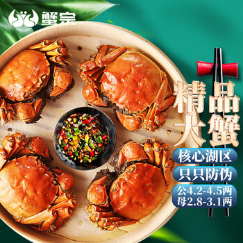 蟹宗 现货大闸蟹 公蟹215-230g+母蟹140-155g 8只 礼盒装食品类商品-全利兔-实时优惠快报