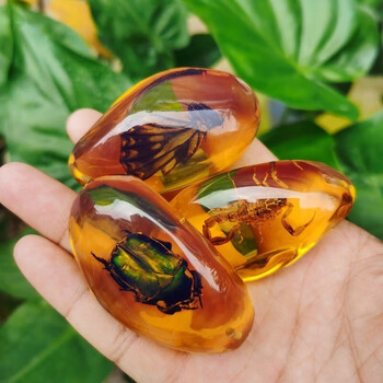 KIDNOAM 昆虫标本树脂摆件 琥珀昆虫随机一个母婴玩具类商品-全利兔-实时优惠快报