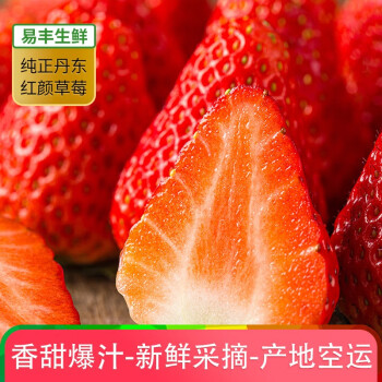 丹东99红颜奶油草莓甄选大果无农残新鲜水果产地现摘空运 1斤装(单果20g以上)