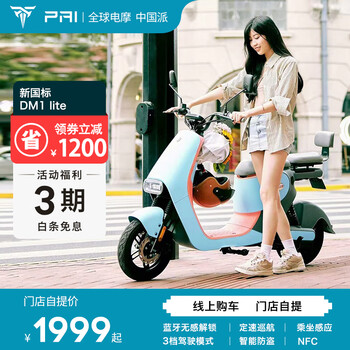 PAI 派电 DM1 新国标电动自行车全利兔-实时优惠快报