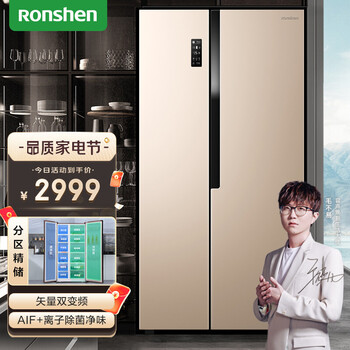 容声（Ronshen）589升 对开门冰箱双开门 变频无霜家用电冰箱两门 BCD-589WD11HP