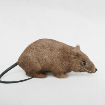 新款会叫灰色仿真老鼠假耗子模型整人小礼物吓人动物
